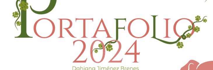 Portafolio 2024
